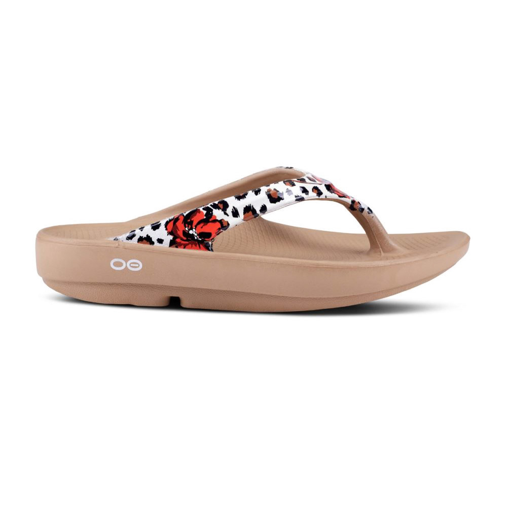 OOFOS Women's OOlala Limited Sandal - Leopard Flora