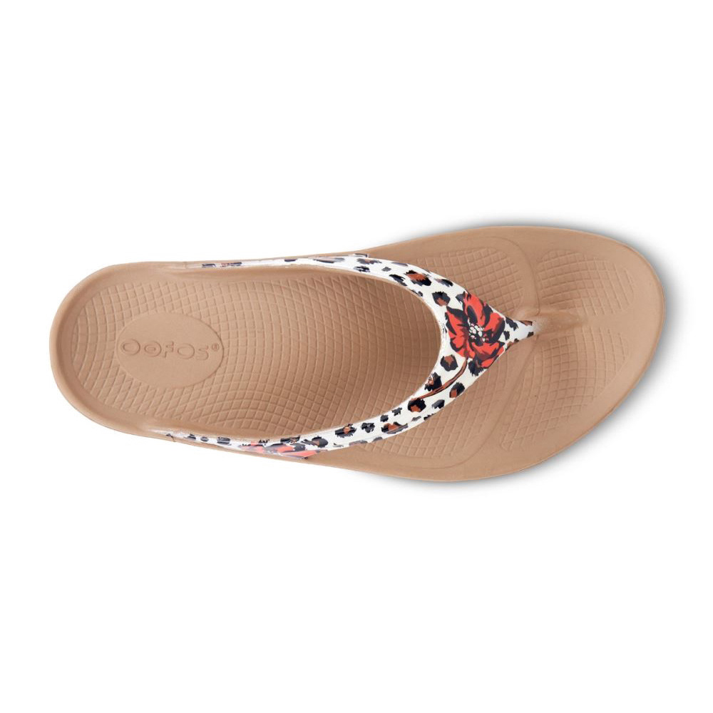 OOFOS Women's OOlala Limited Sandal - Leopard Flora