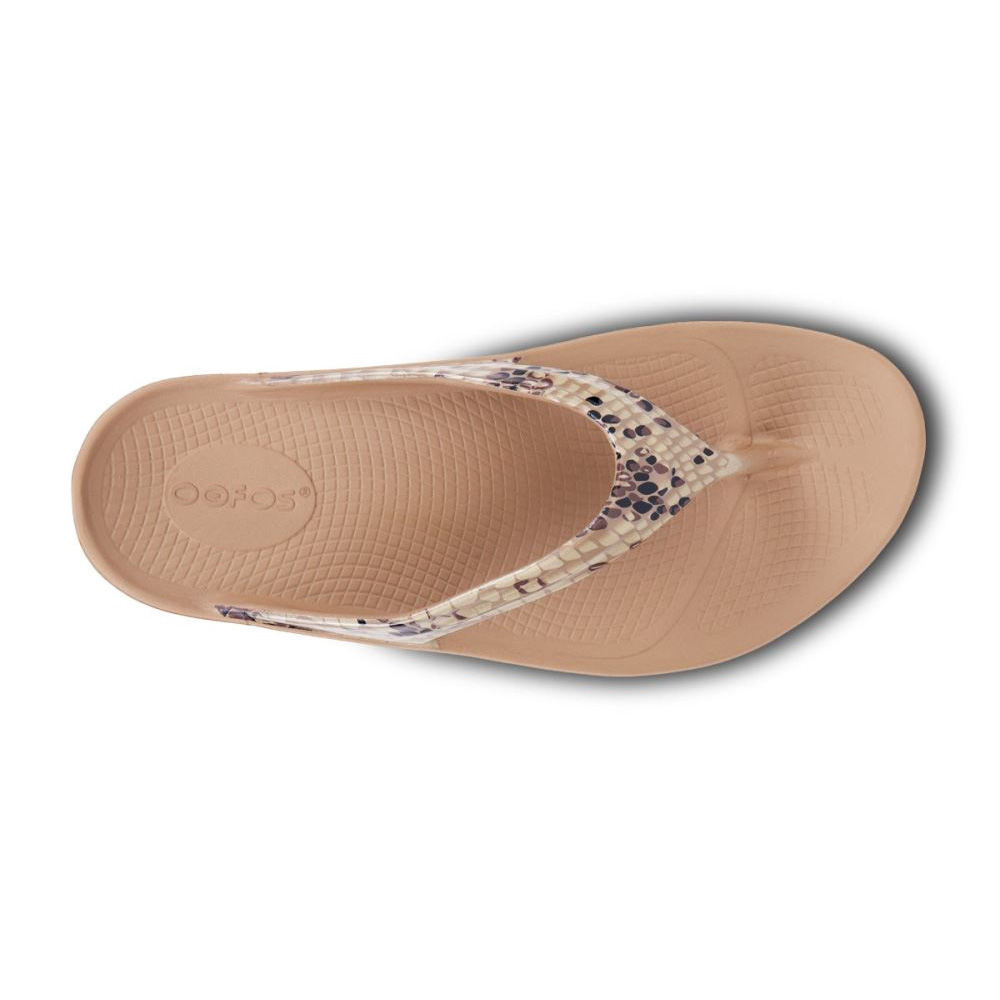 OOFOS Women's OOlala Limited Sandal - Desert Snake